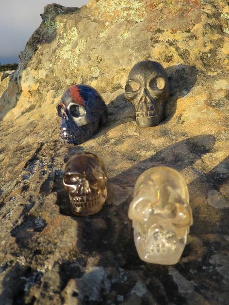 LizPhoto-Skulls-with-view.jpg May 27, 2015 72 kB 472 × 629 Edit Image Delete Permanently URL